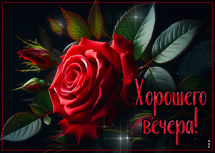 Picture эстетичная гиф-открытка хорошего вечера