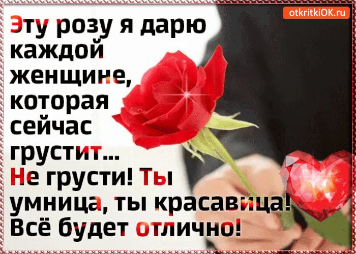 Картинка эту розу я дарю каждой