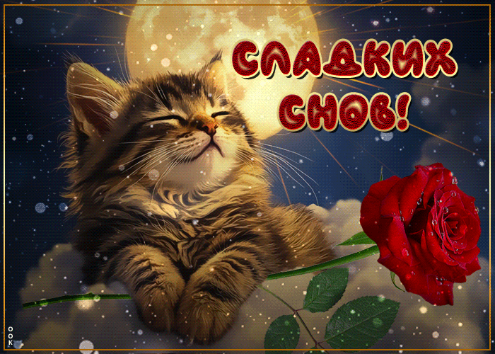 Postcard фантастическая милая открытка сладких снов
