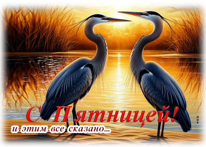 Postcard гиф-открытка с пятницей! и этим все сказано