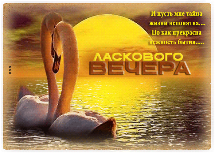 Postcard и пусть мне тайна жизни непонятна, но как прекрасна нежность бытия