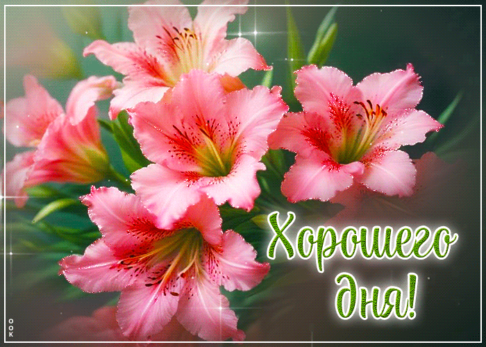 Picture игривая цветочная открытка хорошего дня