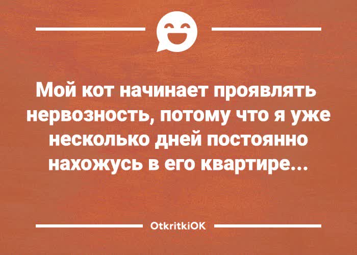 Открытка картинка с шуткой про кота