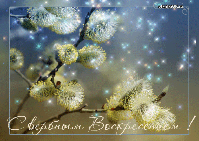Открытка картинка вербное воскресенье