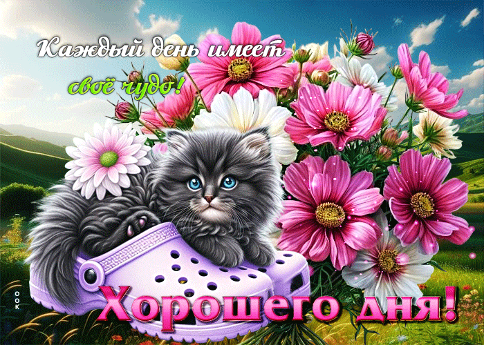 Picture каждый день имеет свое чудо! хорошего дня