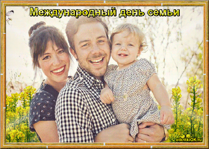 Картинка когда международный день семьи в году 15 мая