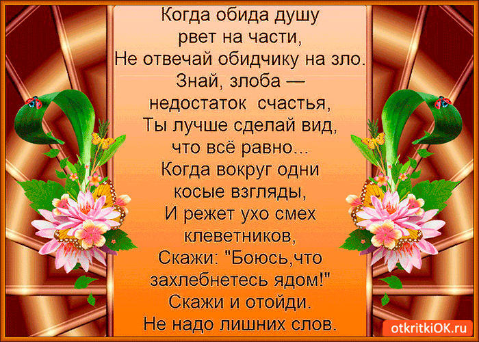 Картинка когда обида душу рвёт