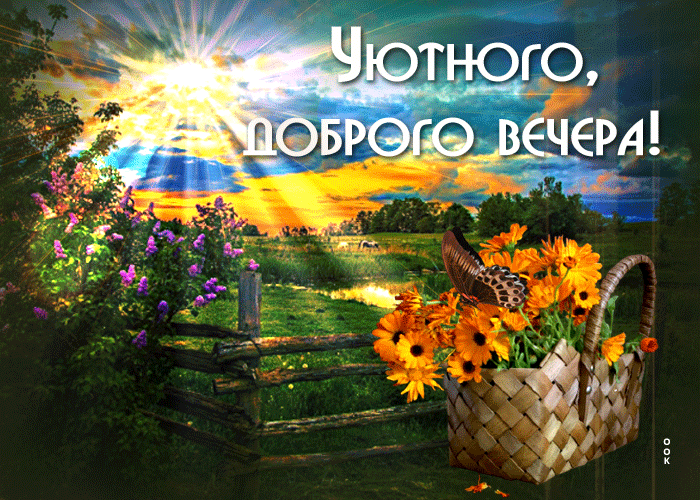 Postcard красивая открытка уютного, доброго вечера! с бабочкой