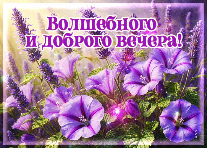 Picture ласковая, бодрящая гиф-открытка волшебного и доброго вечера