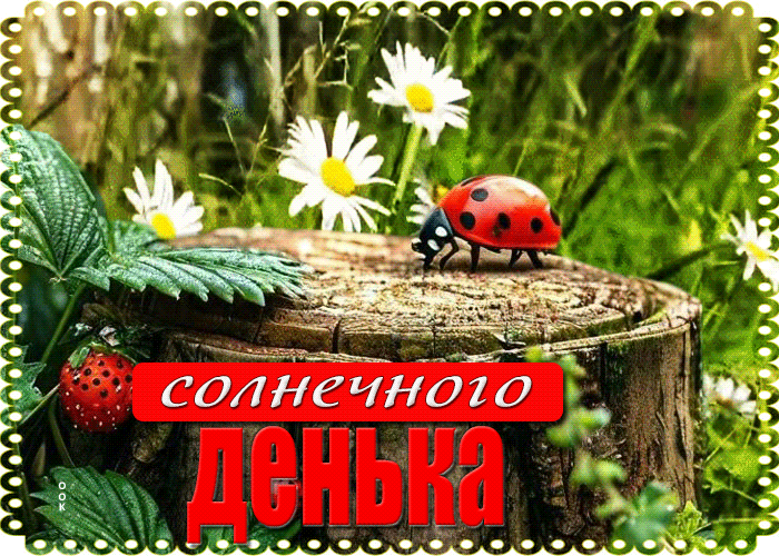 Postcard ласковая открытка солнечного денька