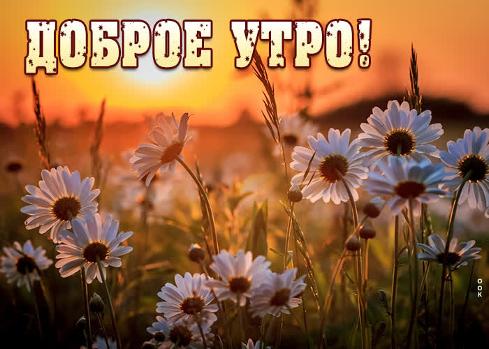 Картинка лучезарная открытка доброе утро