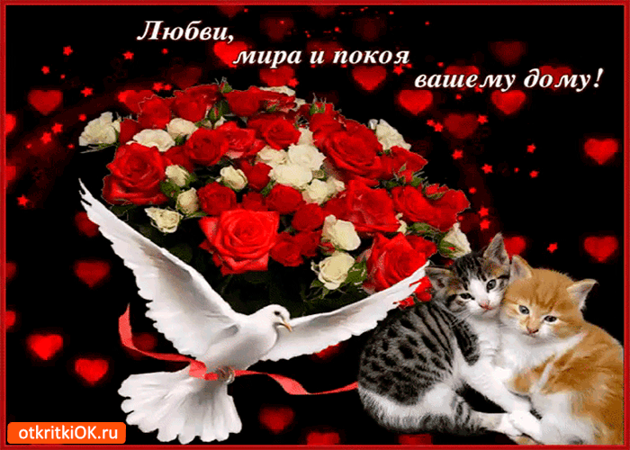 Картинка любви, мира и покоя вашему дому