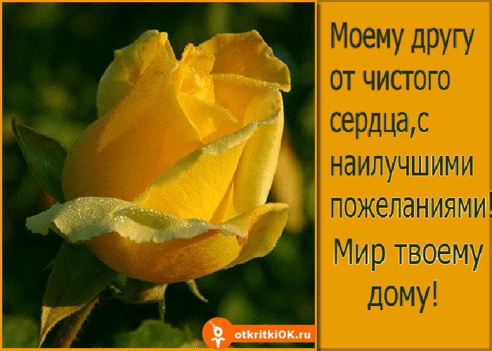 Картинка моему другу открытка