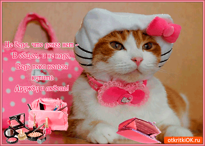 Открытка не беда что денег нет
