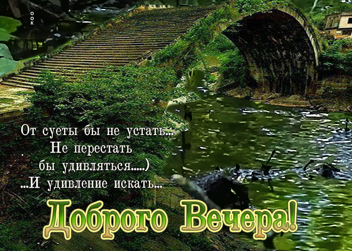 Postcard не перестать бы удивлятся и удивление искать