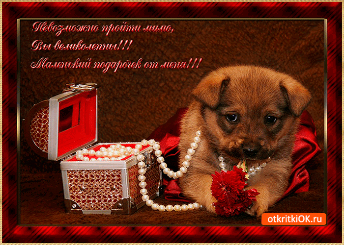 Картинка невозможно пройти мимо