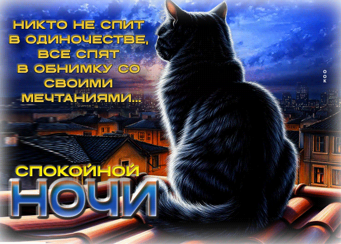 Picture никто не спит в одиночестве, все спят в обнимку со своими мечтаниями