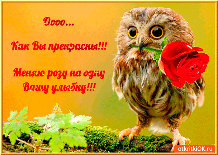 Открытка о как вы прекрасны