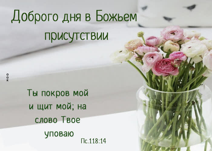 Postcard очаровательная открытка доброго дня в божьем присутствии