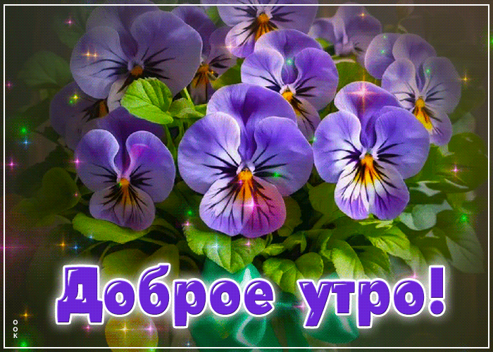 Picture очаровательная открытка с цветочками доброе утро
