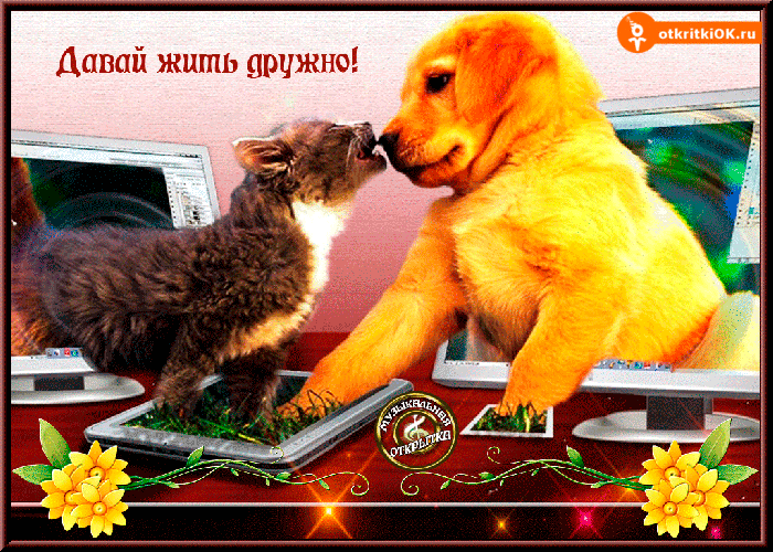 Открытка открытка давай жить дружно