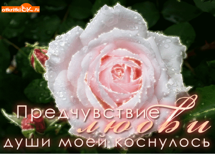Открытка открытка предчувствие любви