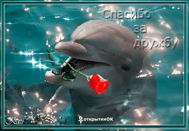 Открытка открытка спасибо за дружбу