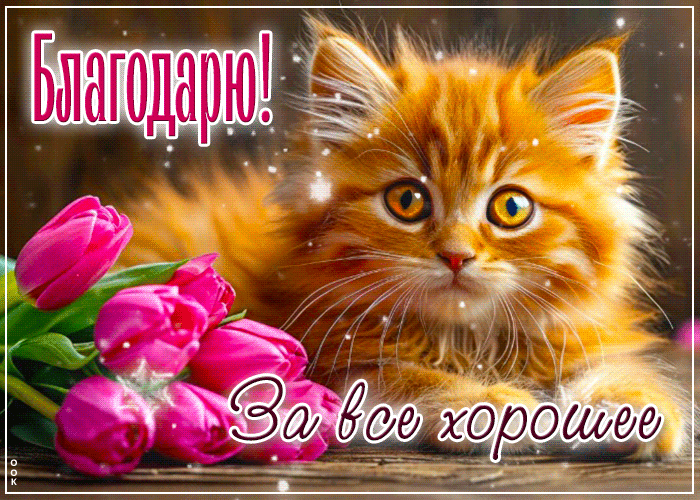 Picture открытка благодарю за все хорошее