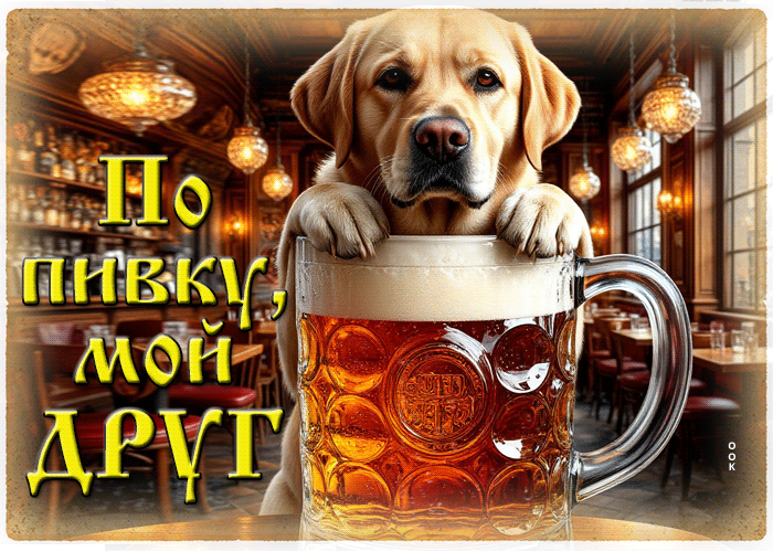 Postcard открытка по пивку, друг?