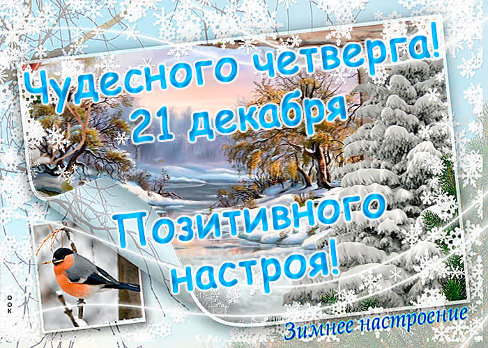 Postcard открытки 21 декабря