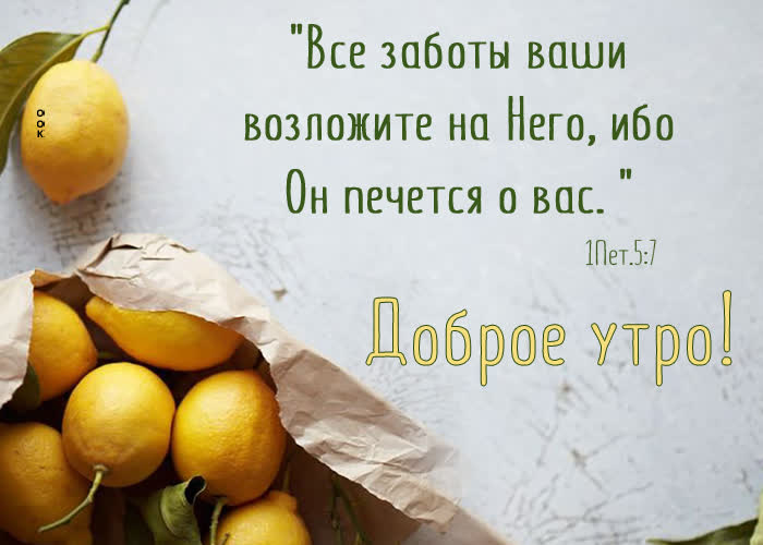Postcard отличная картинка с лимонами доброе утро!