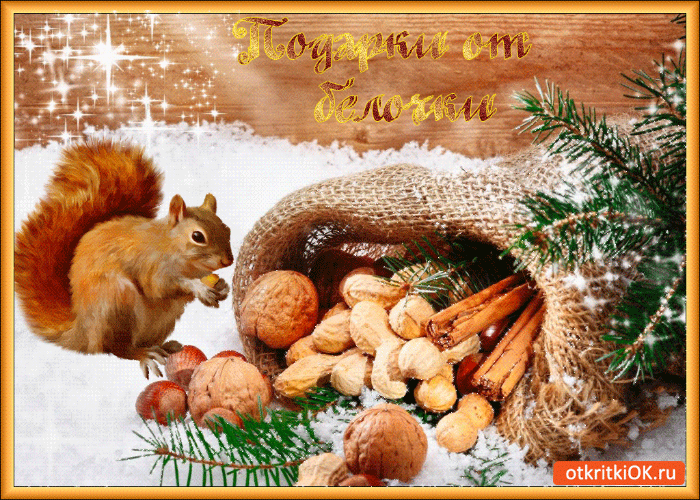 Картинка подарки от белочки