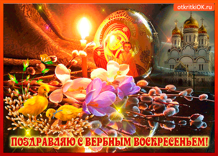 Картинка поздравляю всех с вербным воскресеньем