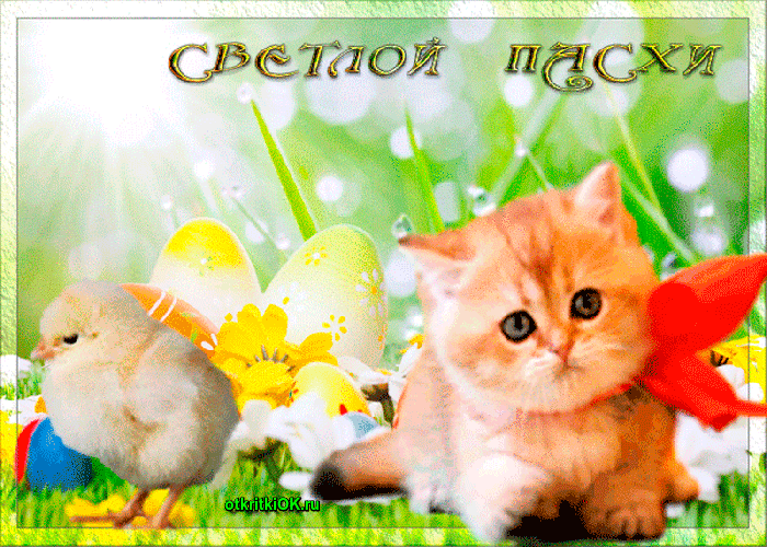 Картинка праздник пасха
