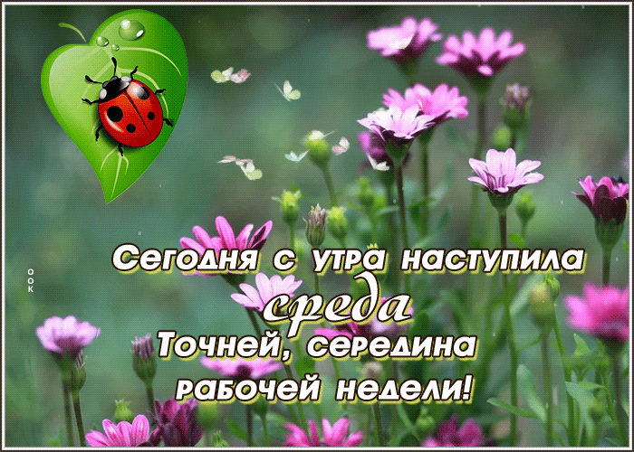 Picture прекрасная открытка среда! середина недели