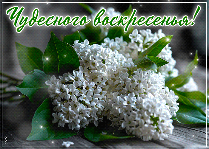 Picture прекрасная, вдохновляющая весенняя открытка чудесного воскресенья