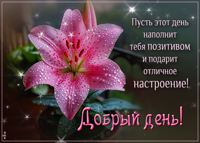 Picture пусть этот день наполнит тебя позитивом и подарит отличное настроение