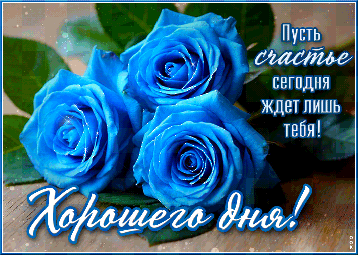 Picture пусть счастье сегодня ждет лишь тебя! хорошего дня