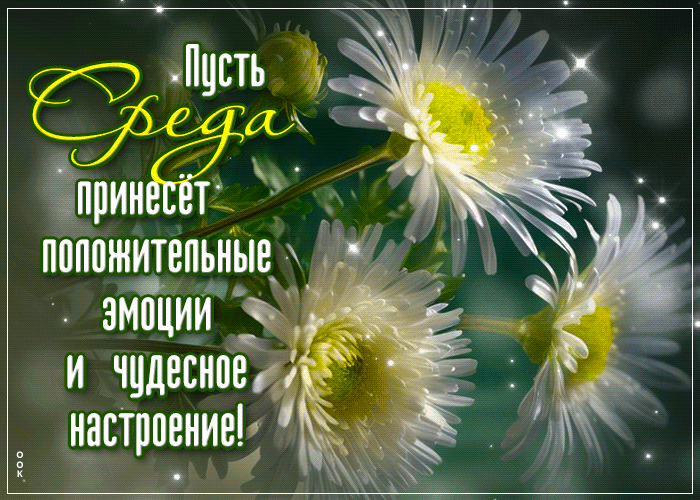 Postcard пусть среда принесет положительные эмоции и чудесное настроение