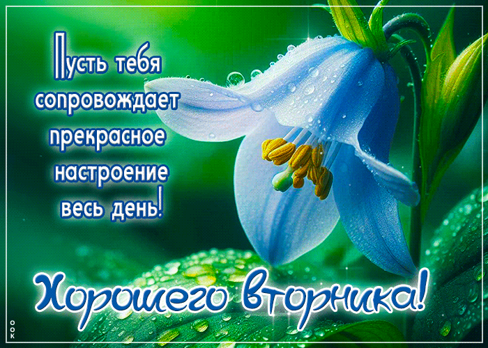 Postcard пусть тебя сопровождает прекрасное настроение на весь день
