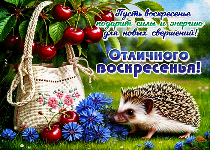 Postcard пусть воскресенье подарит силы и энергию для новых свершений