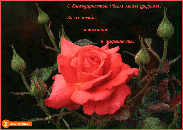 Открытка с благодарностью, всем моим друзьям