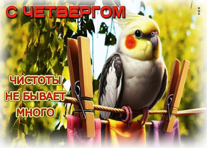 Postcard с четвергом! чистоты не бывает много