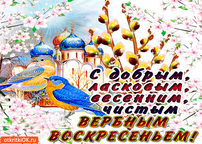 Картинка с чистым вербным воскресеньем