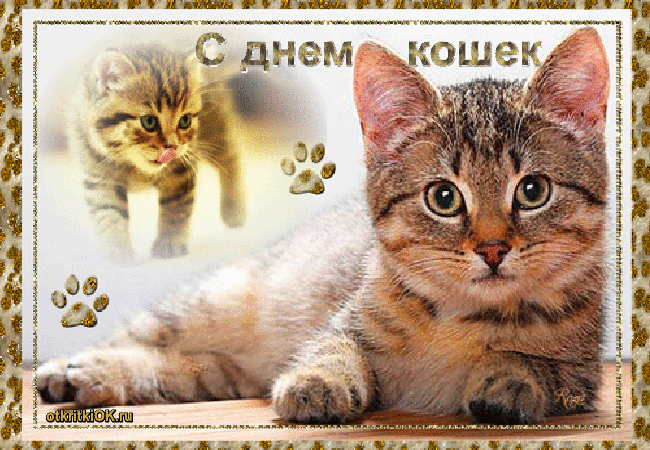 Открытка с днём кошек поздравить