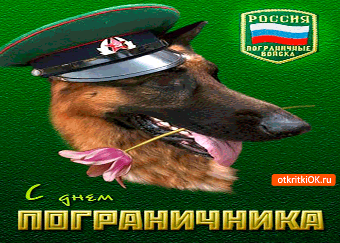 Открытка с днём пограничника в россии