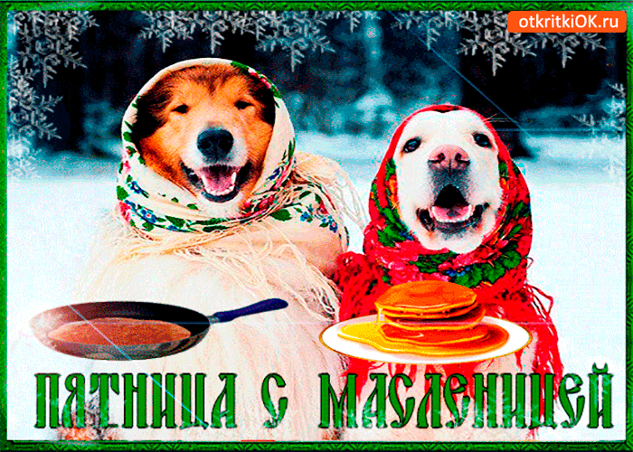 Открытка с масленицей поздравляю я