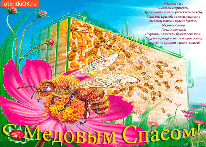 Открытка с медовым спасом! с медовым приветом!