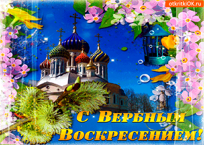 Картинка с вербным воскресеньем моим друзьям