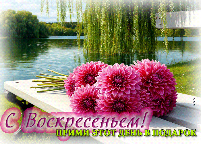 Postcard с воскресеньем! прими этот день в подарок